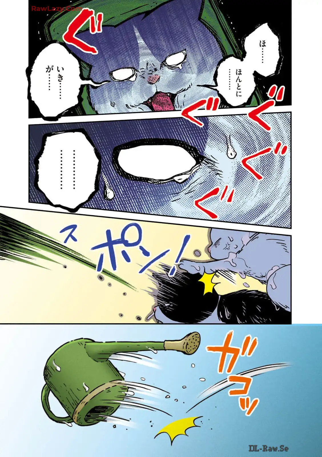 P27