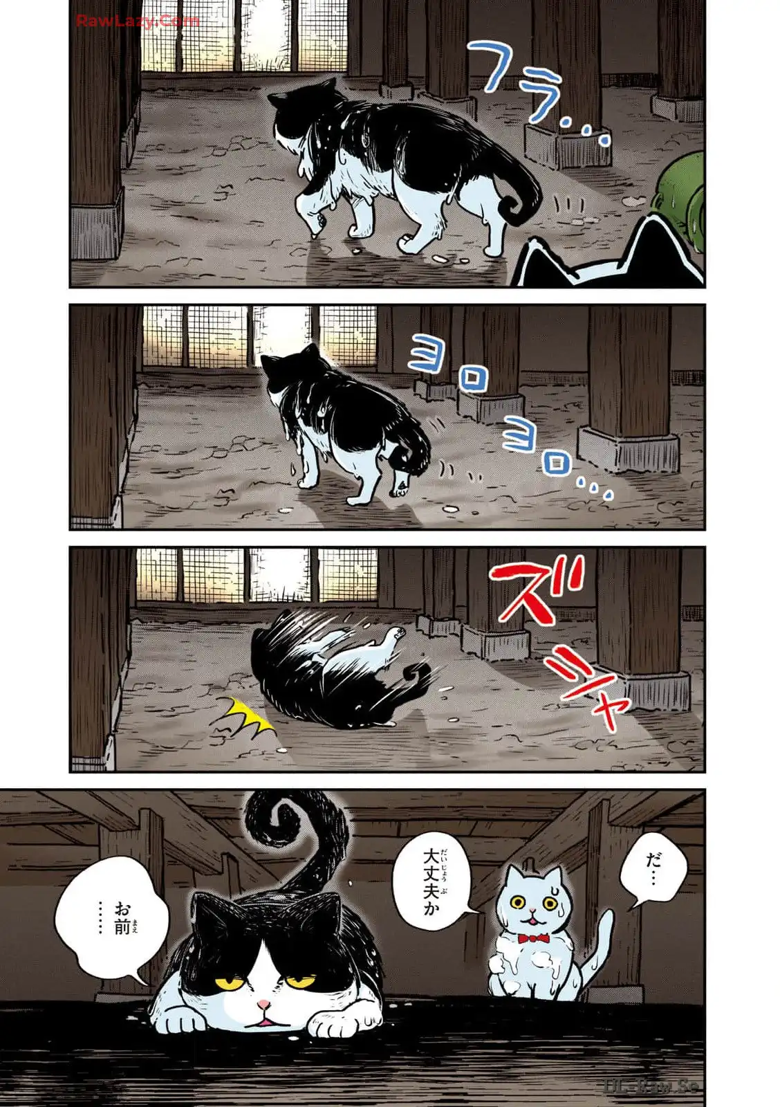 P29
