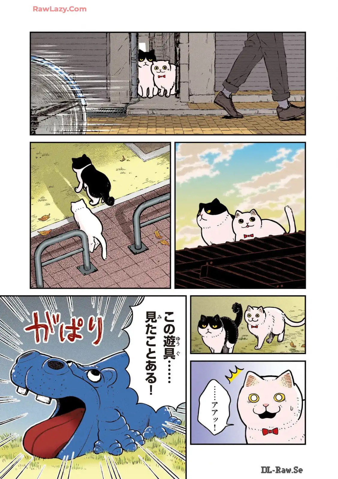 P11