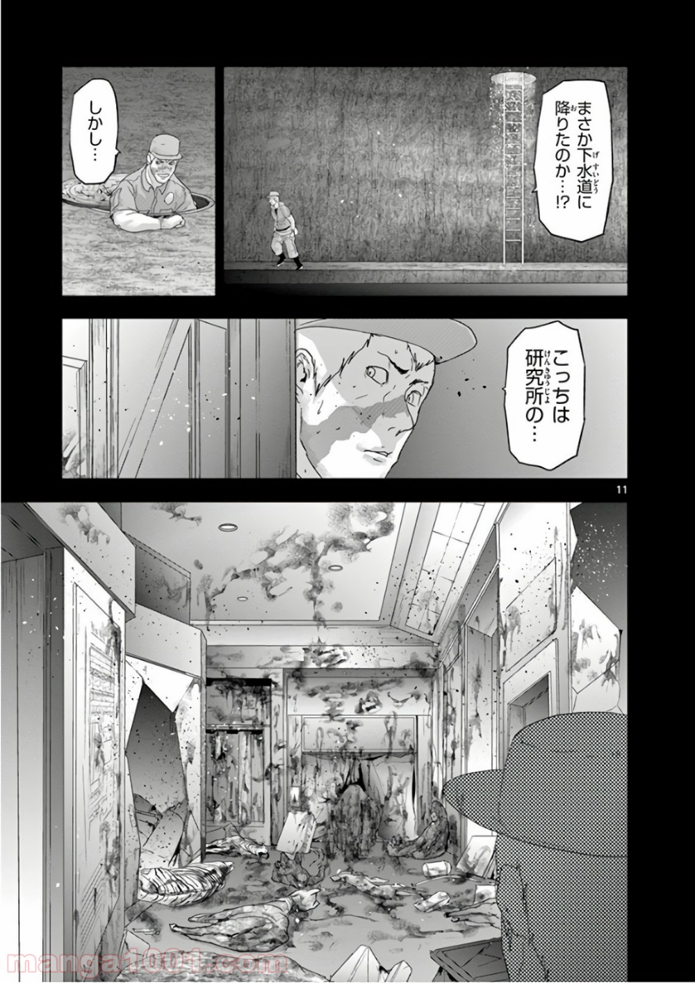 P11