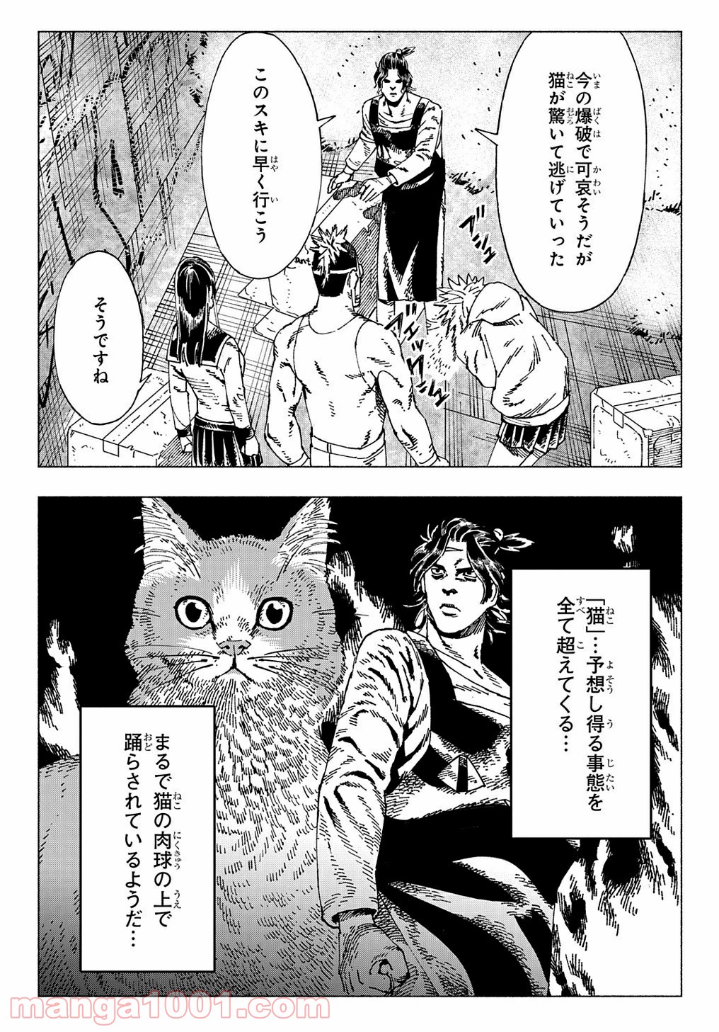 P23
