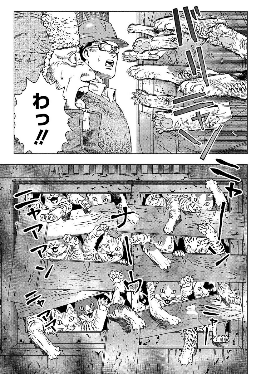 P26