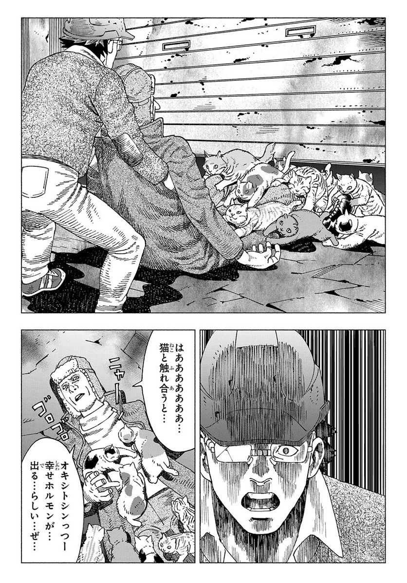 P29