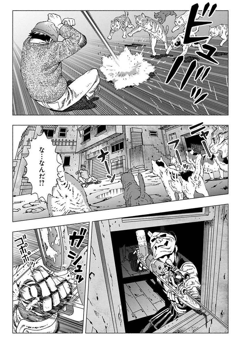P31