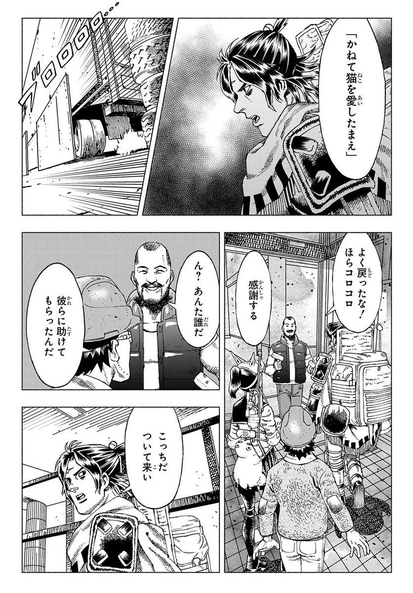 P53