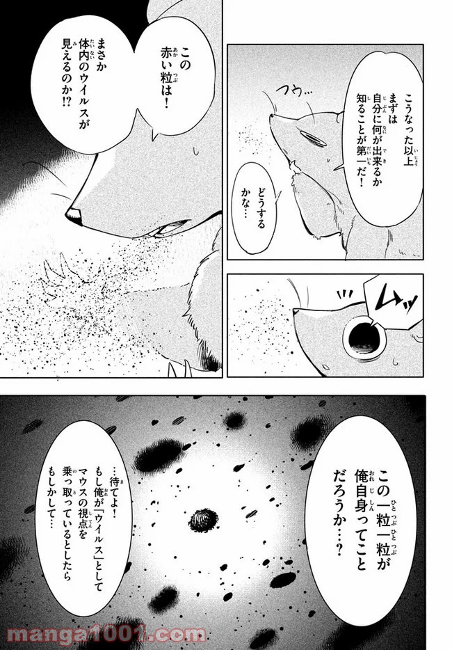 P17
