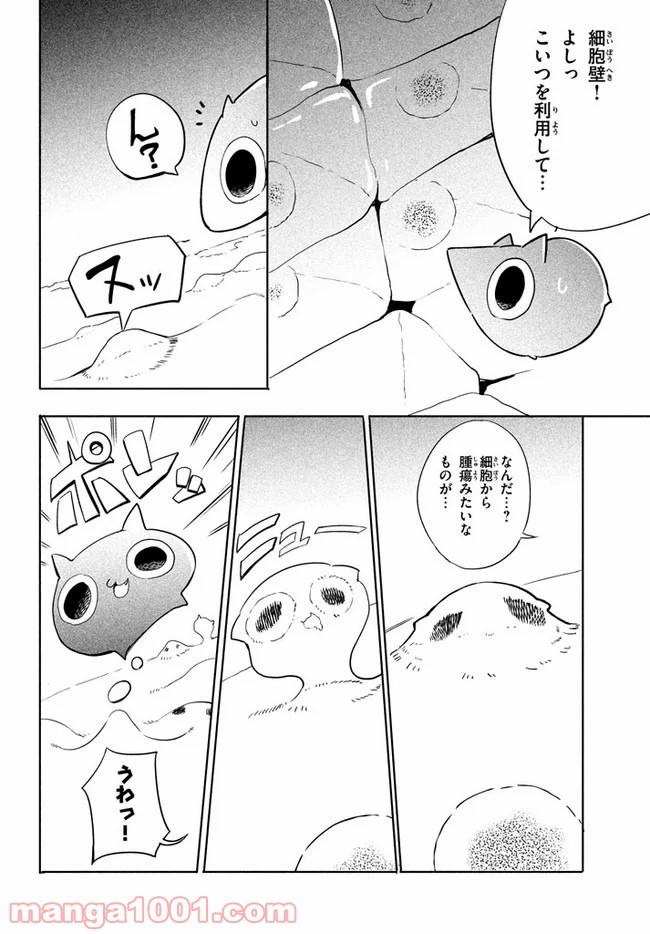 P20