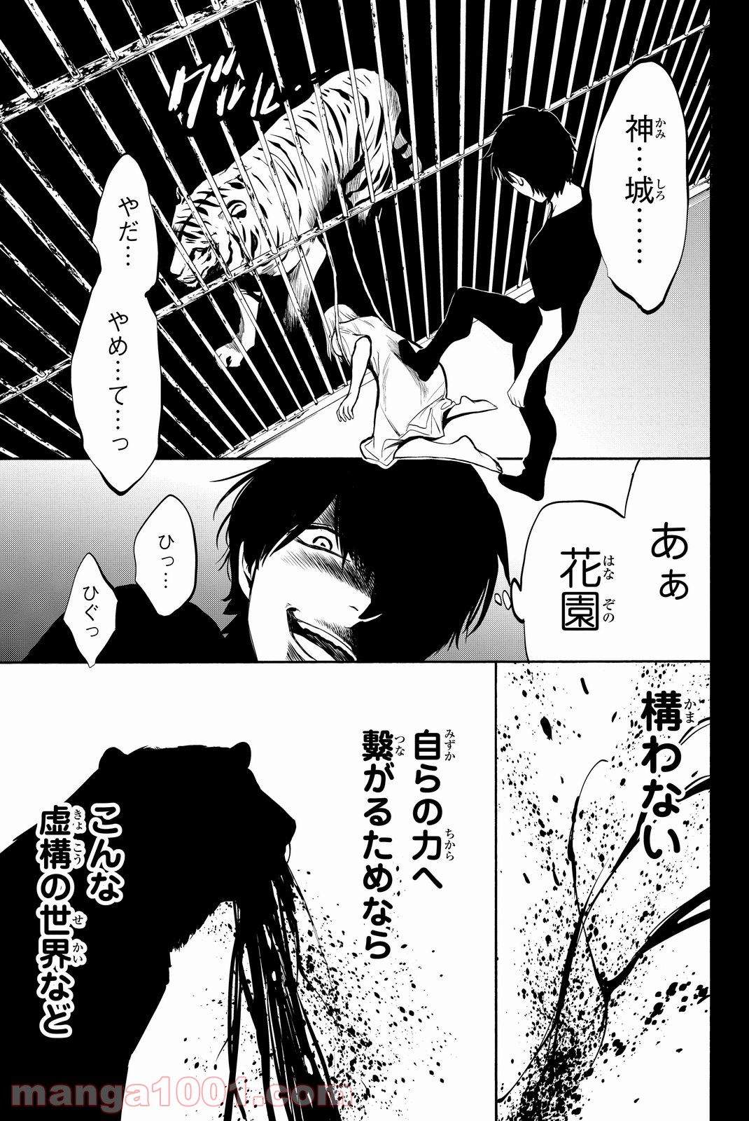 P53