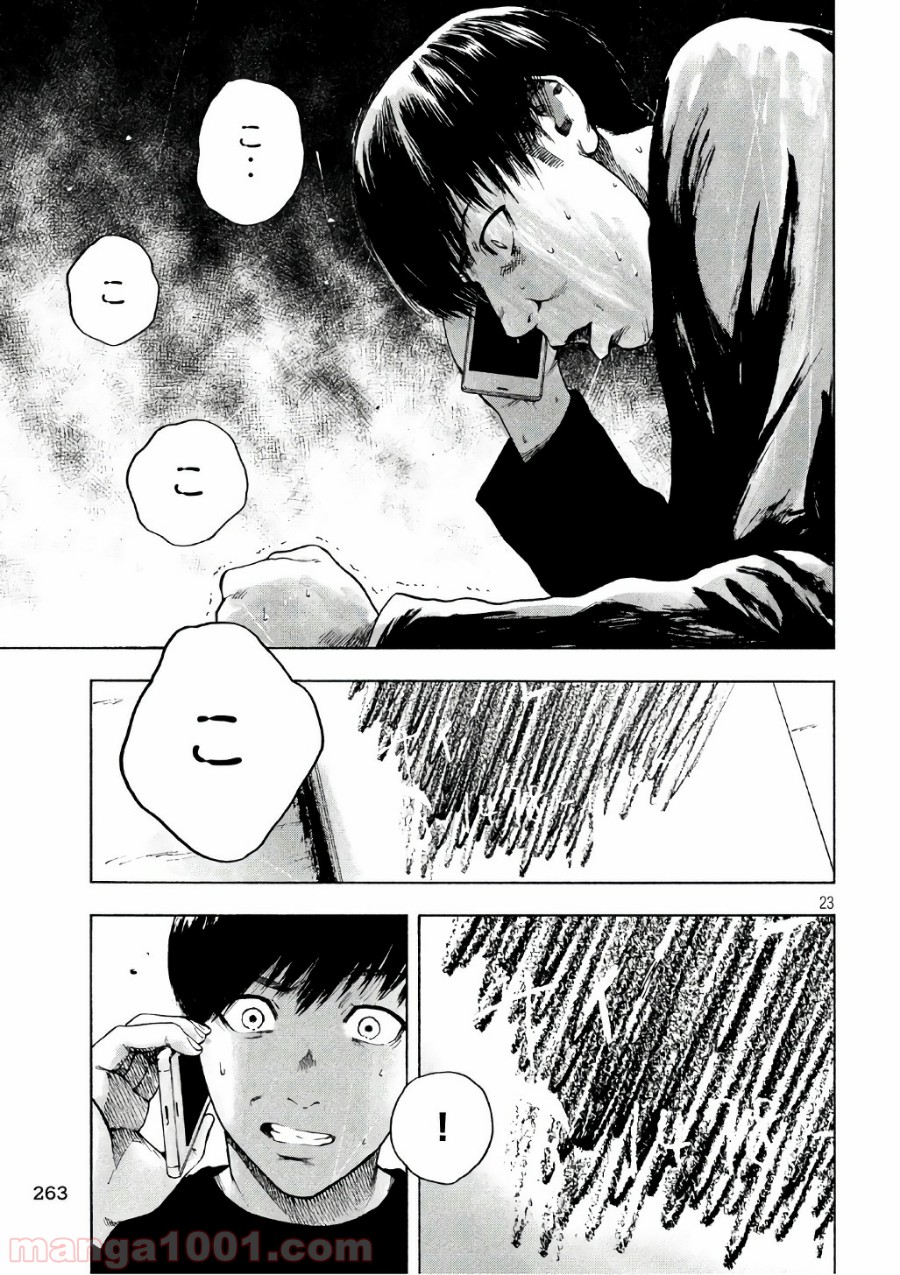 P23