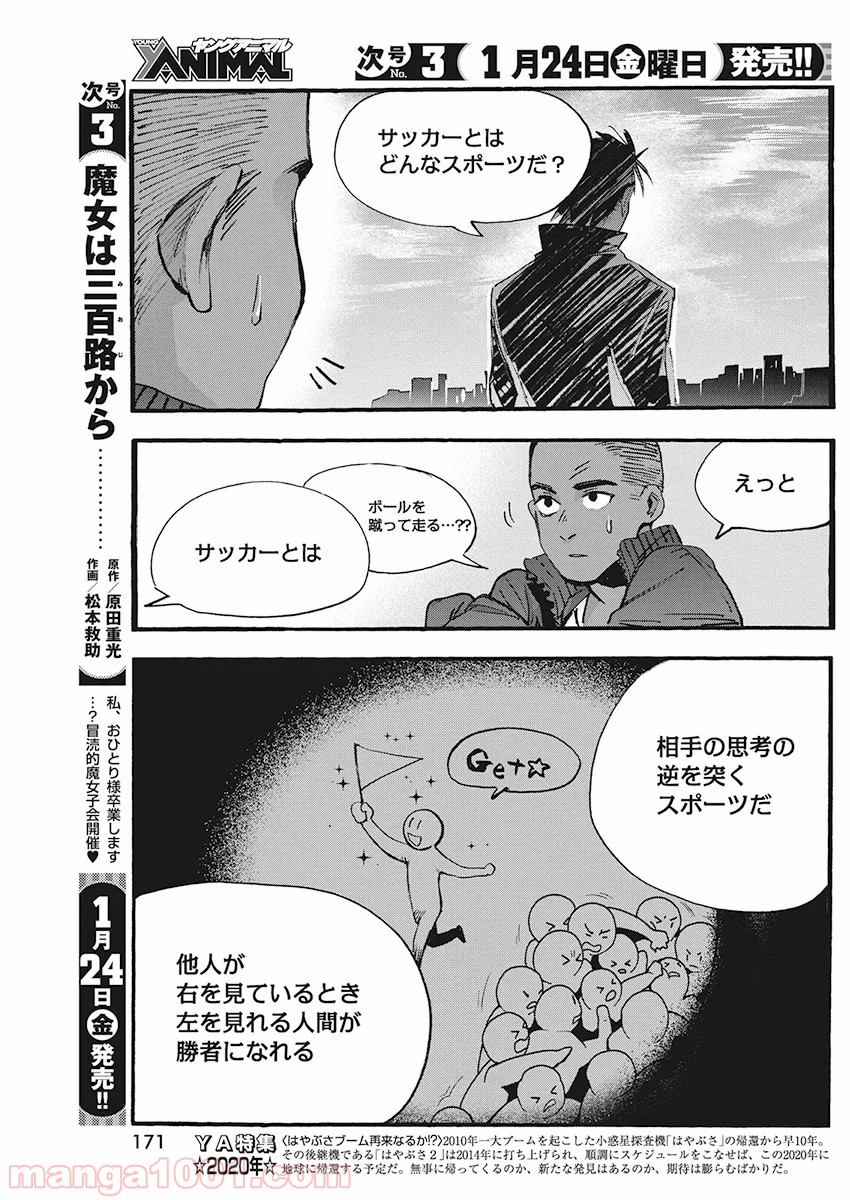 P19