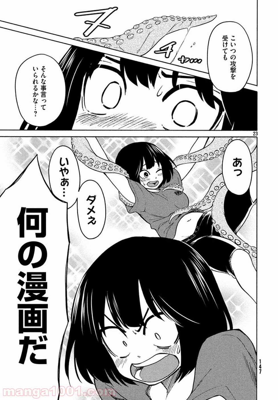 P23