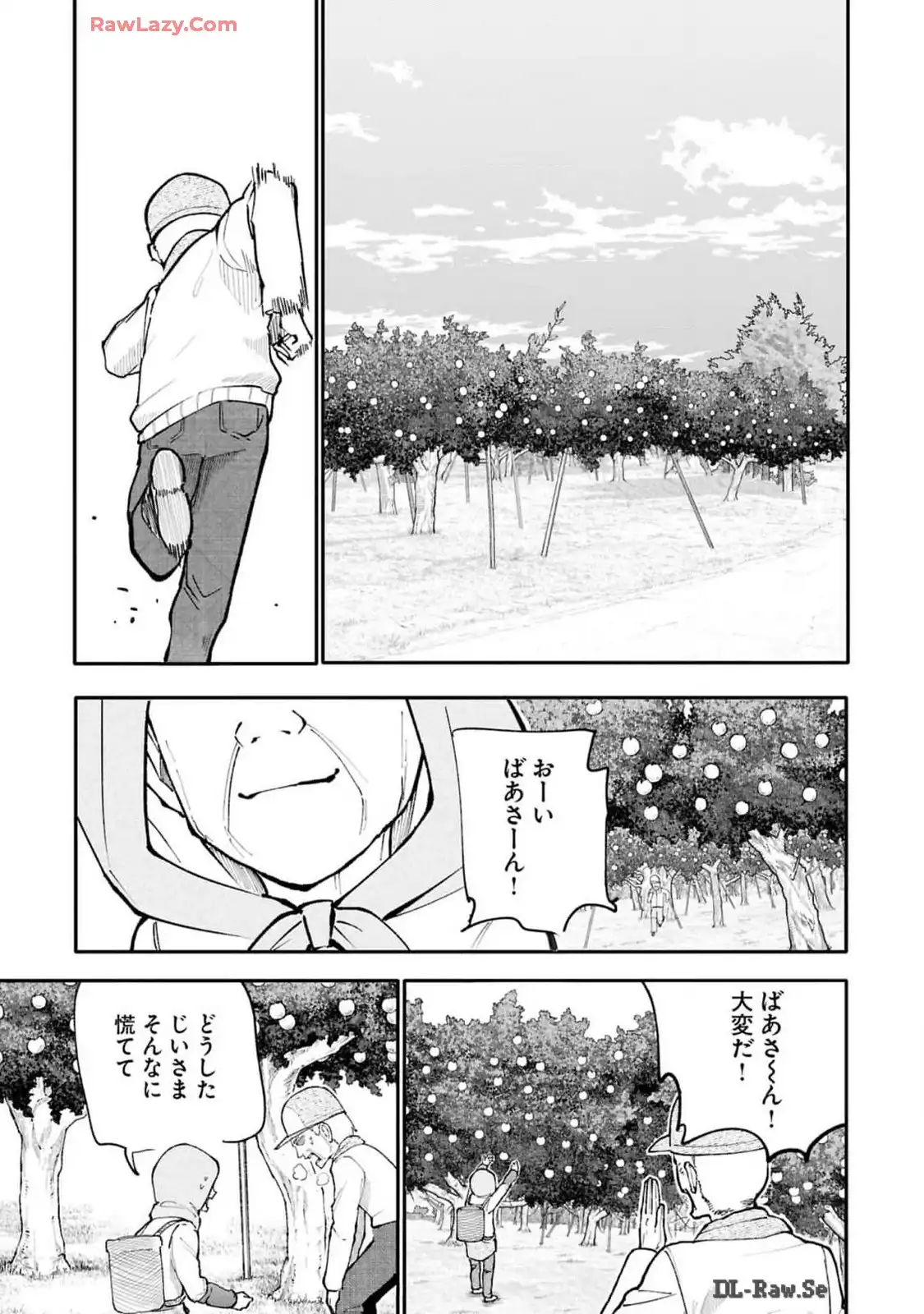 P31