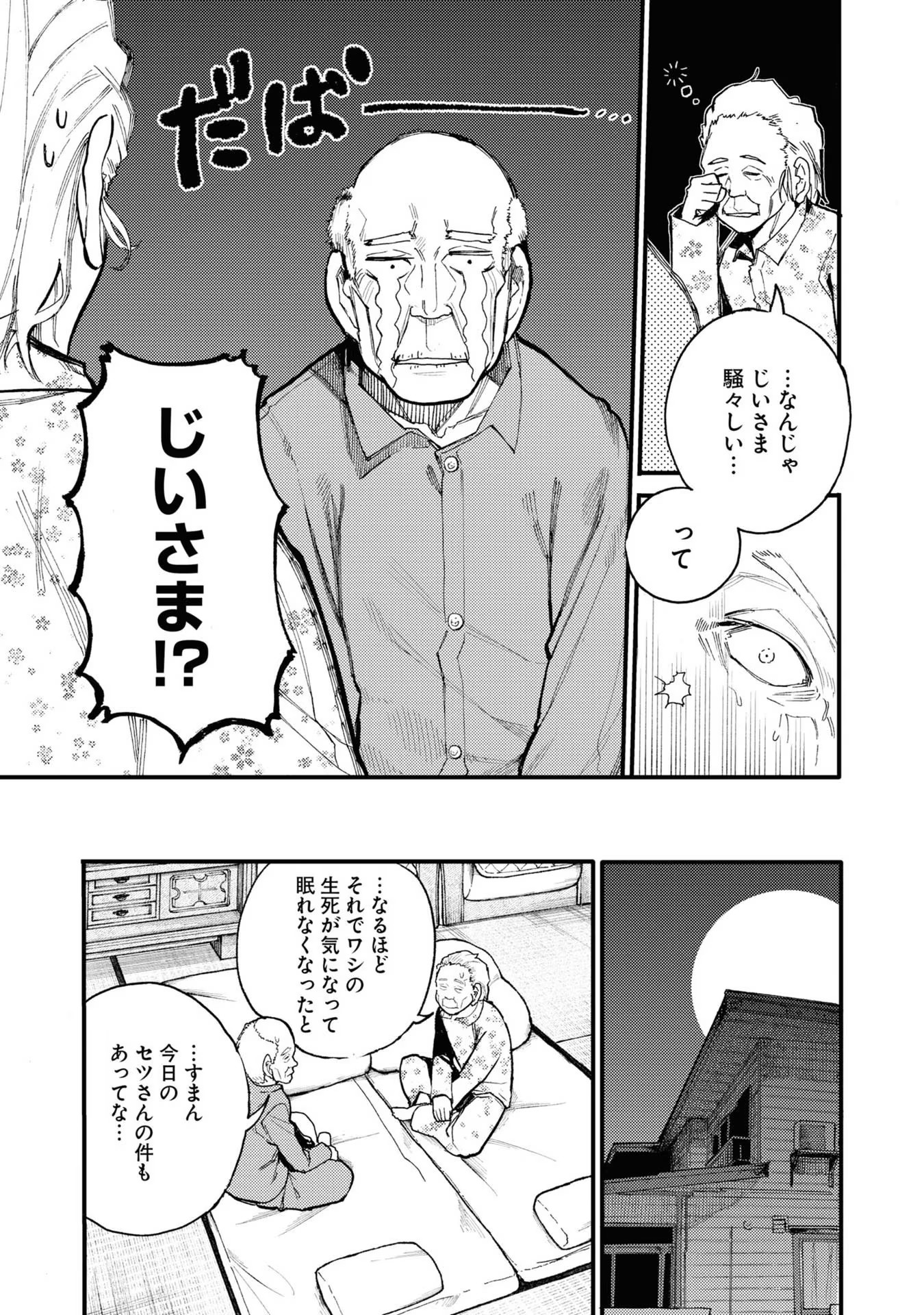 P113
