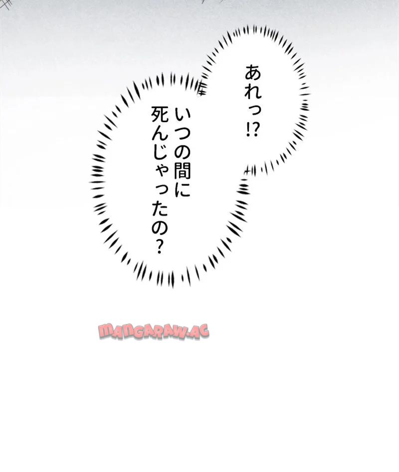 P58