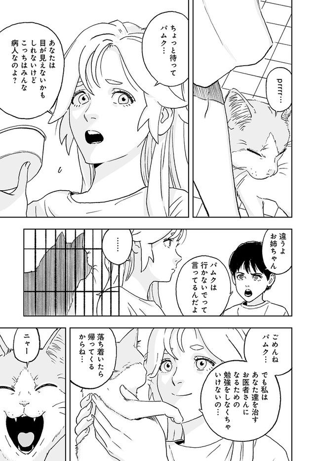 P41