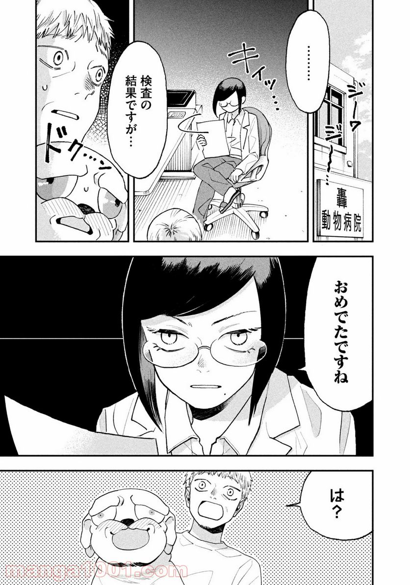 P11