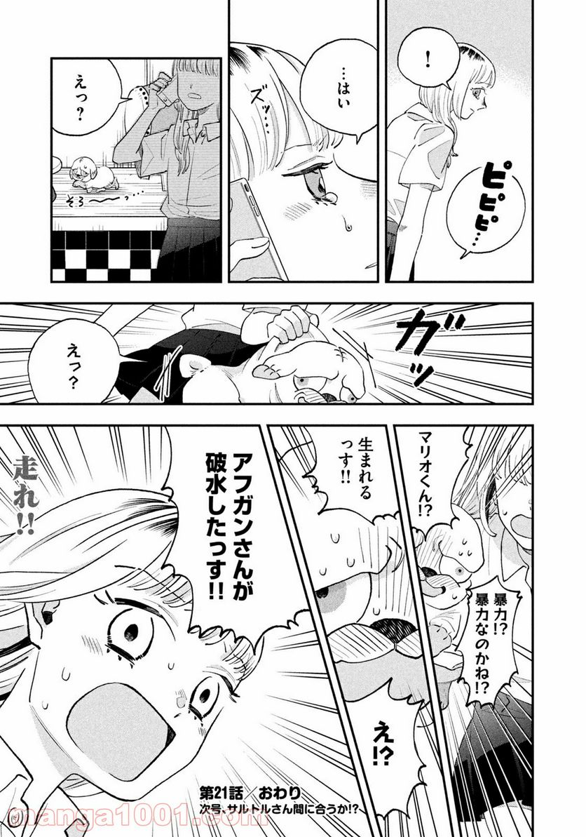 P19