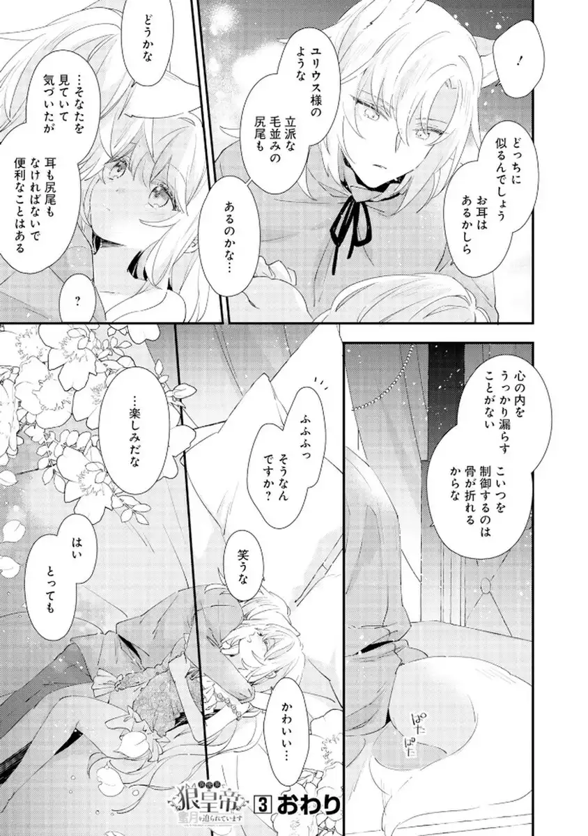 P41
