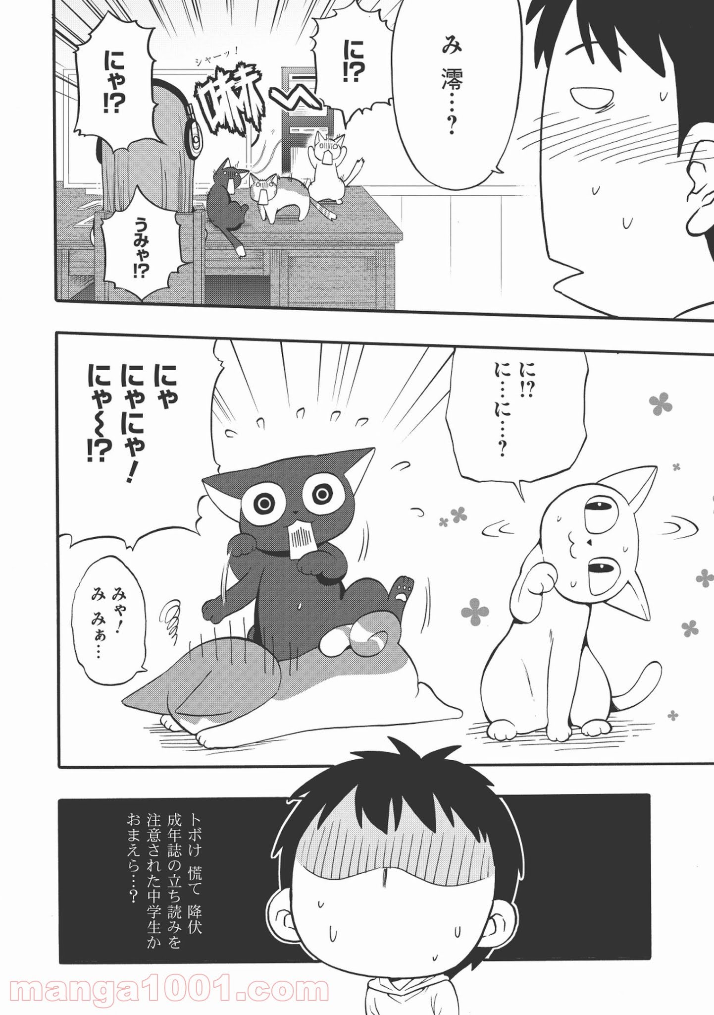 P14