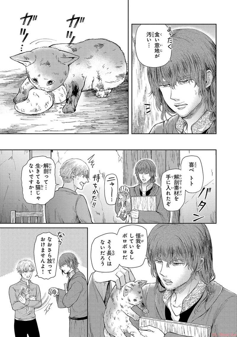 P41