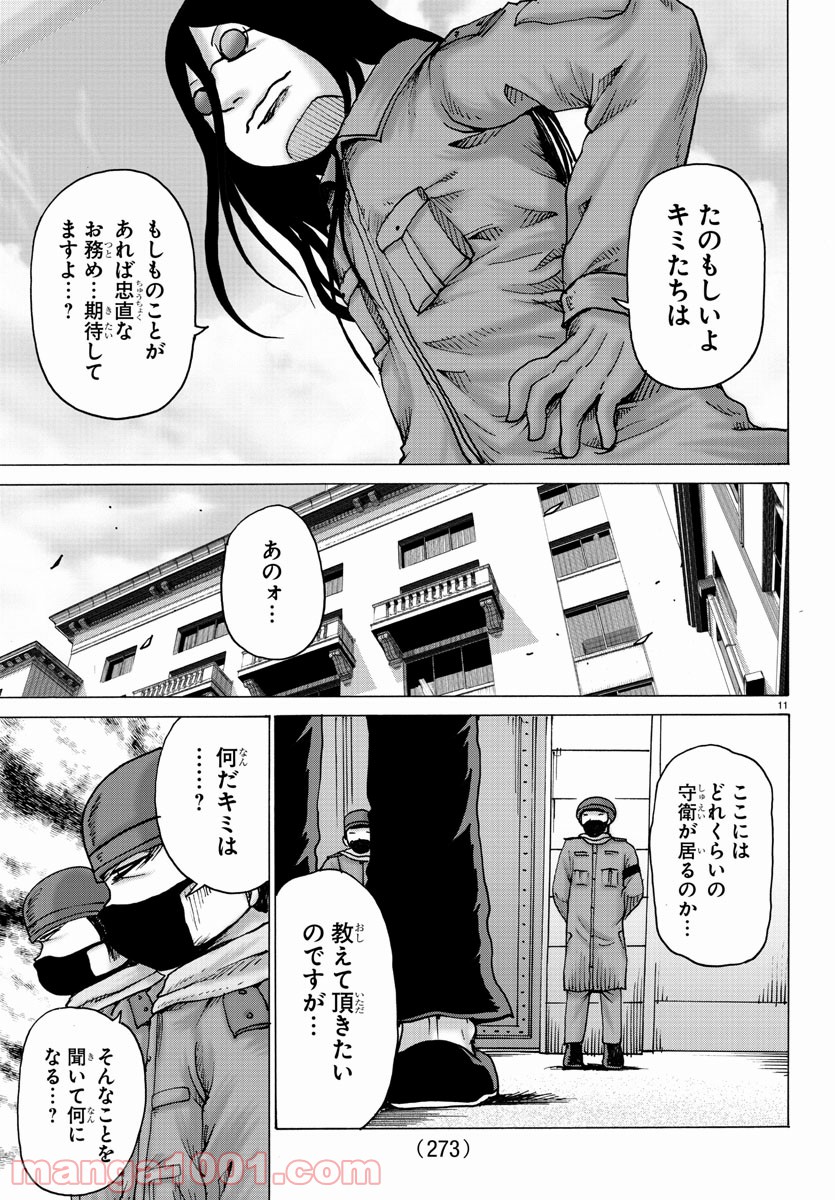 P11