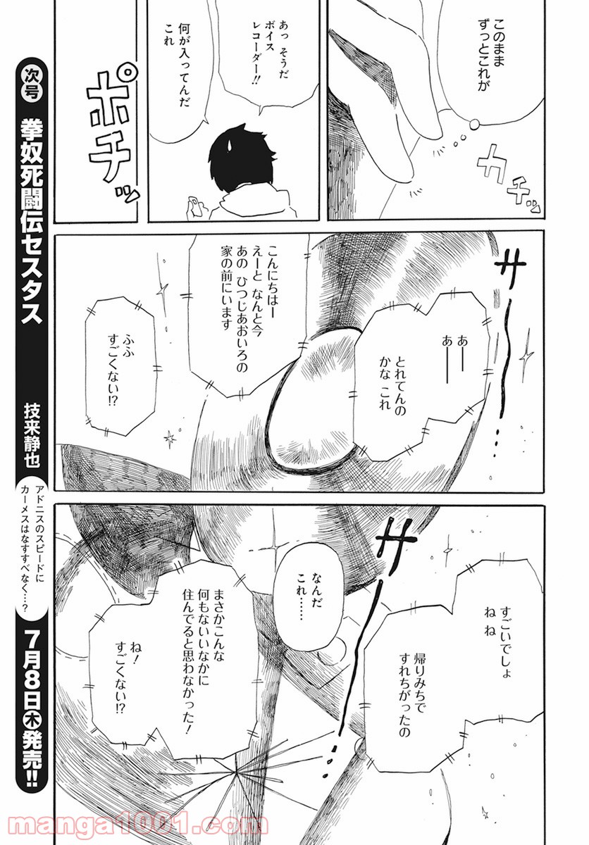 P23
