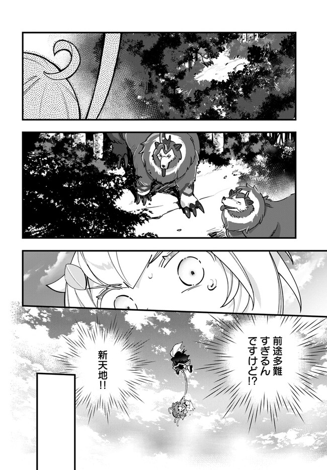 P26