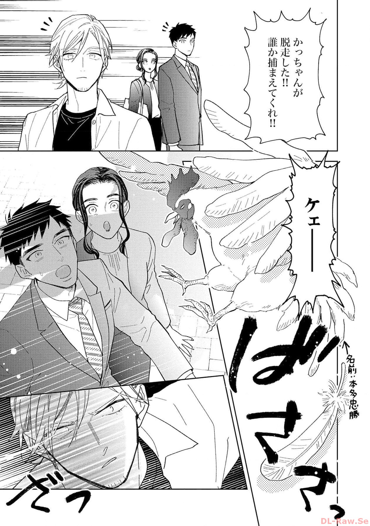 P61