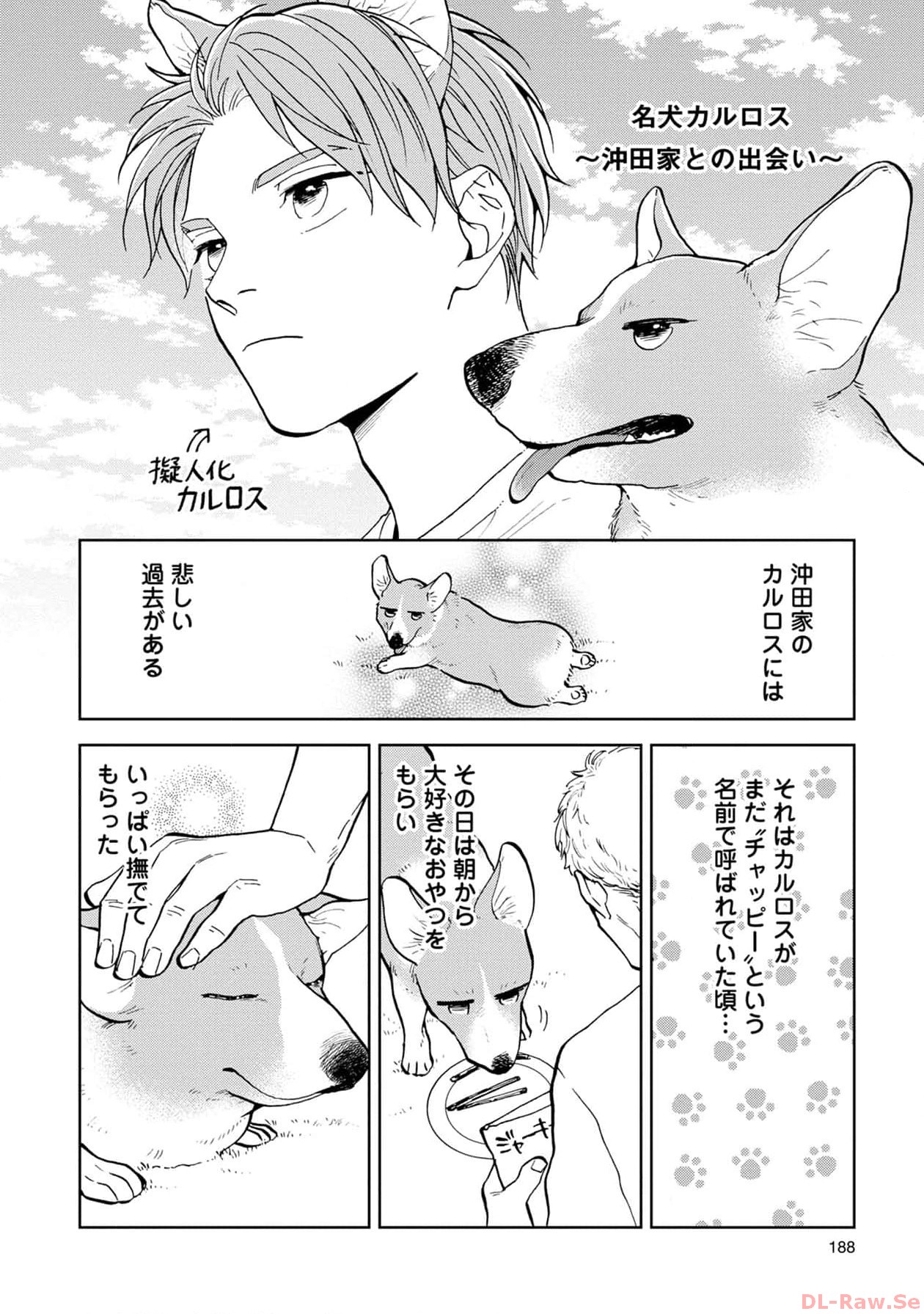 P53