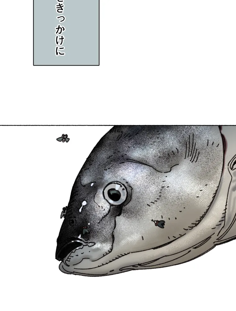 P43