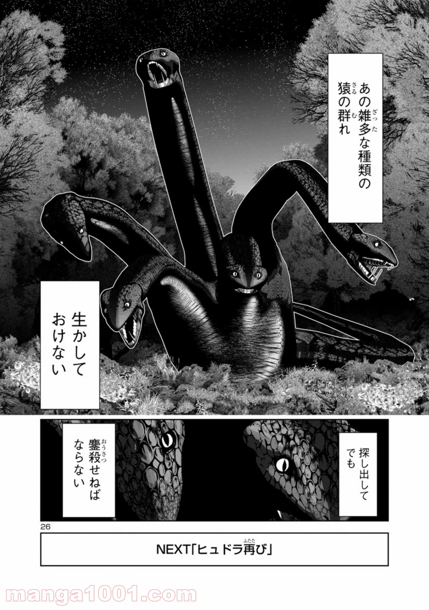 P26