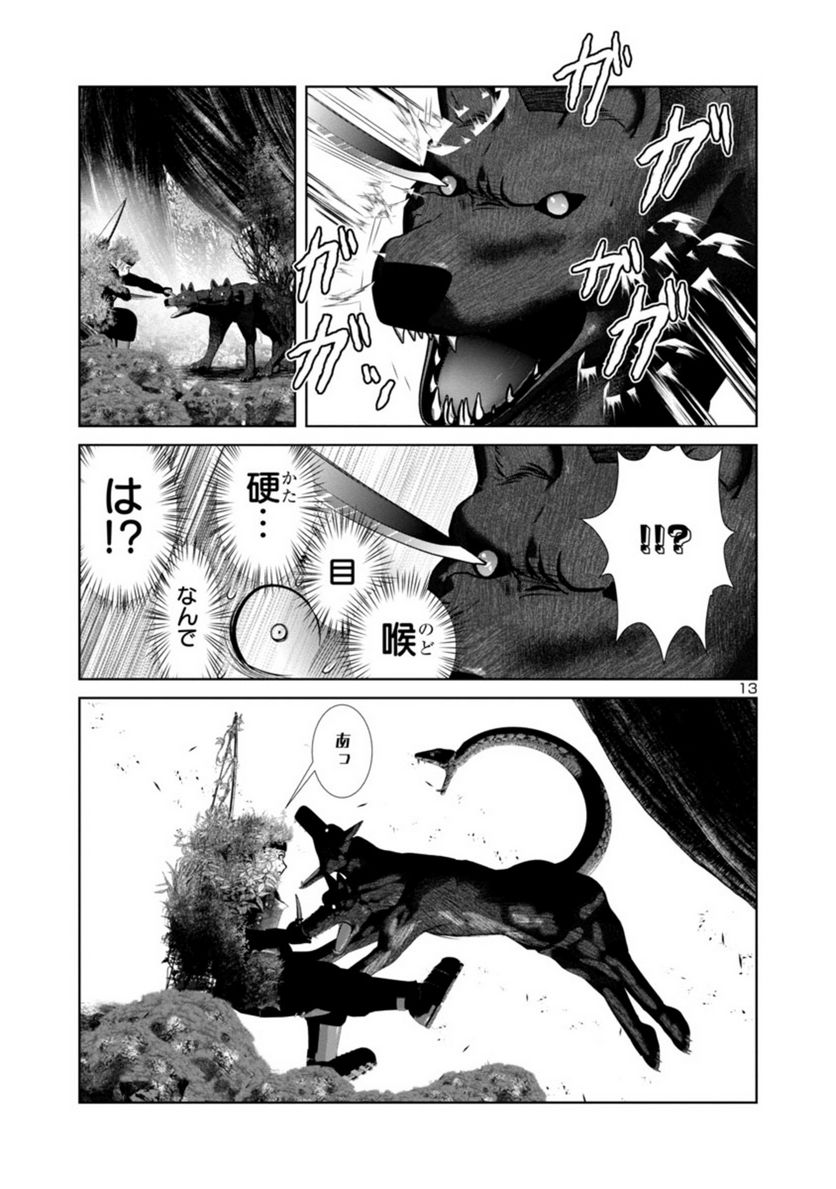 P13