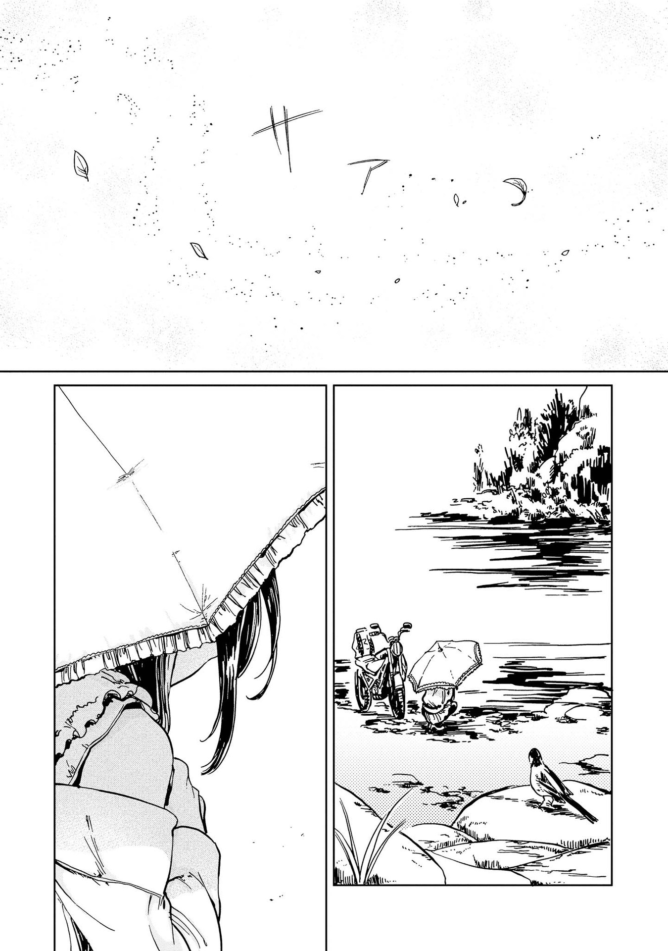 P62