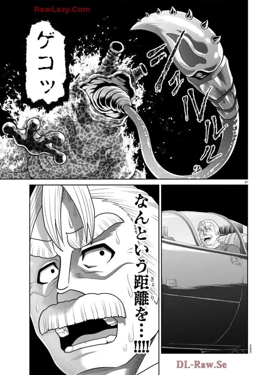 P31