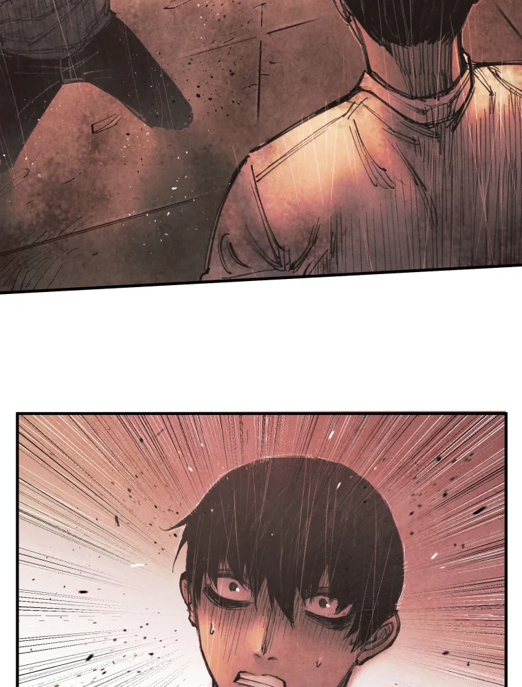 P53