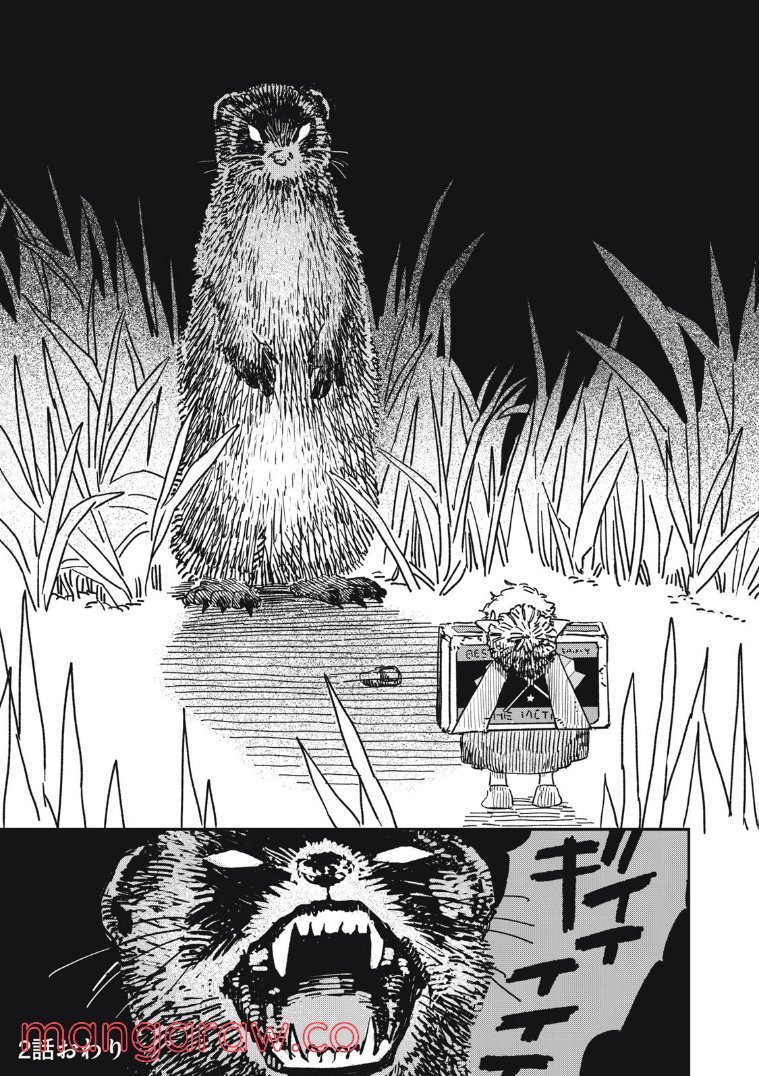 P31
