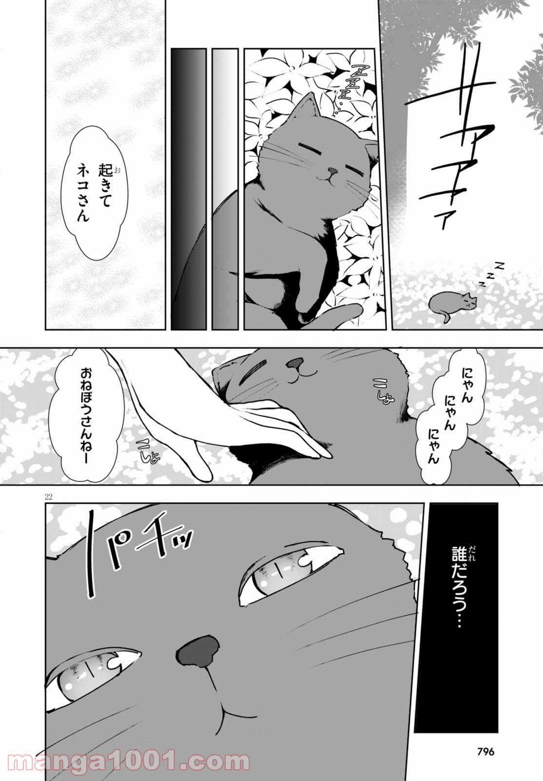 P22