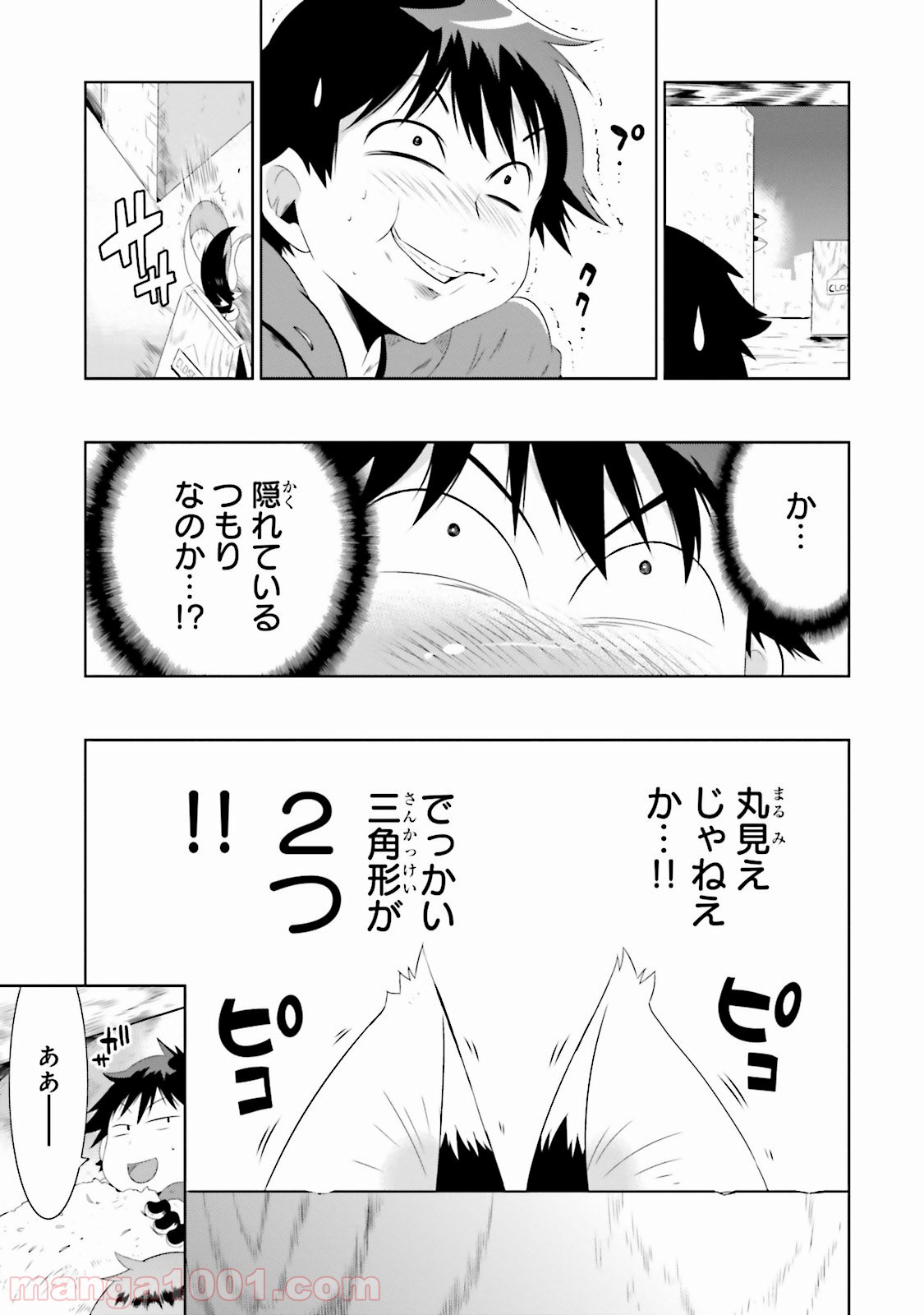 P41