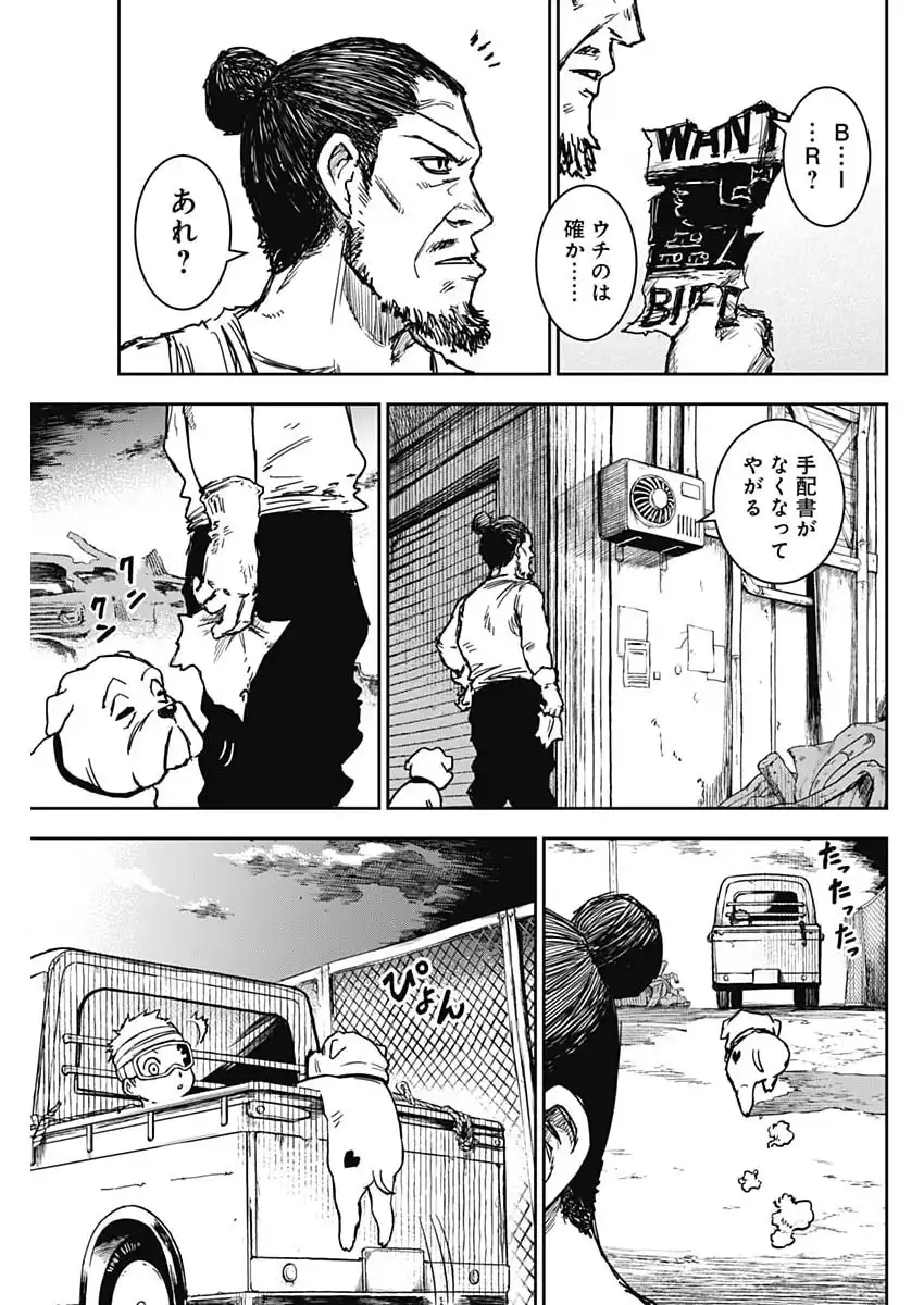 P17
