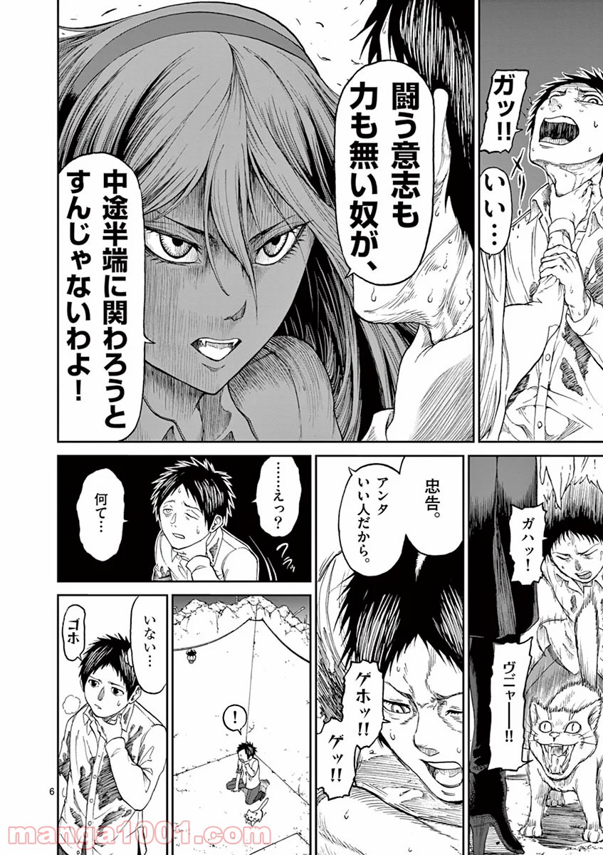 P6