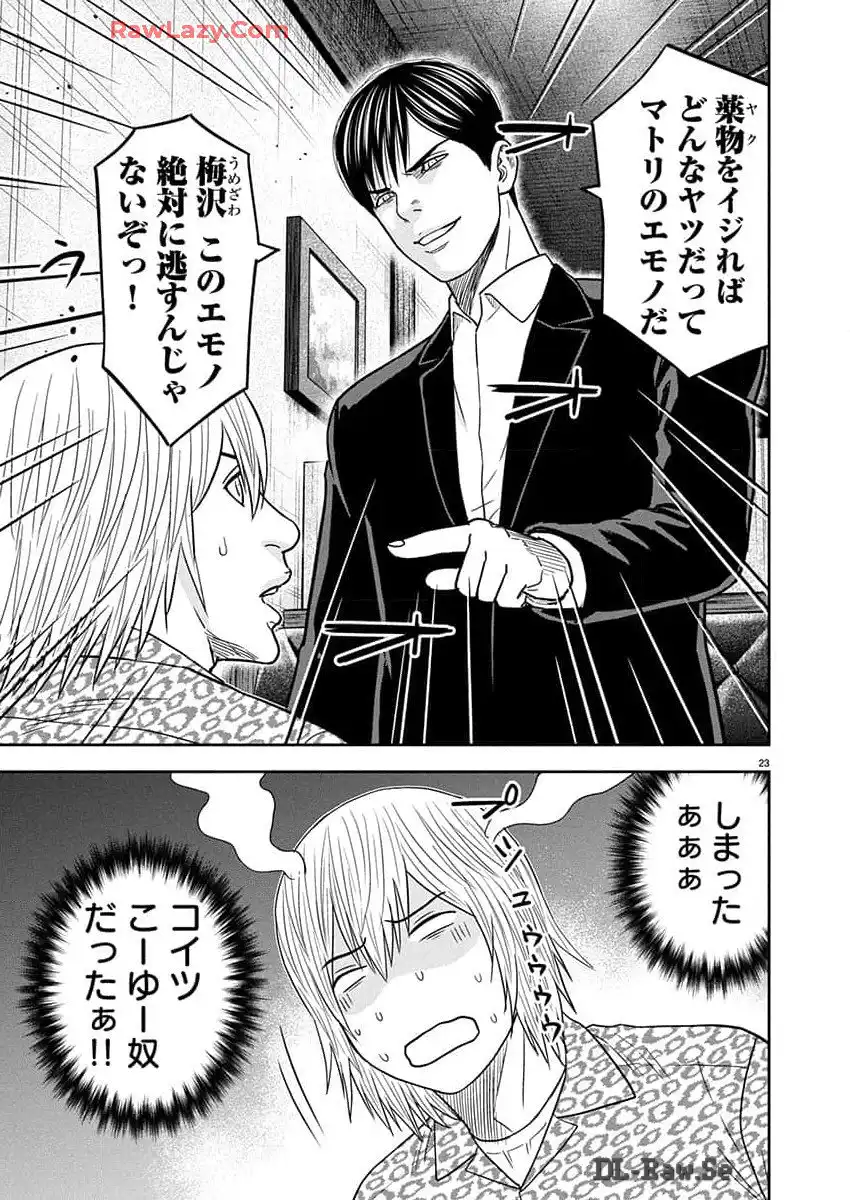 P23