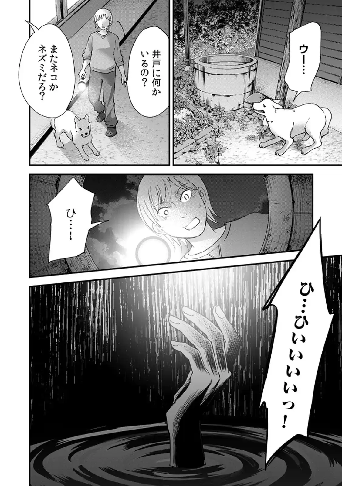 P24