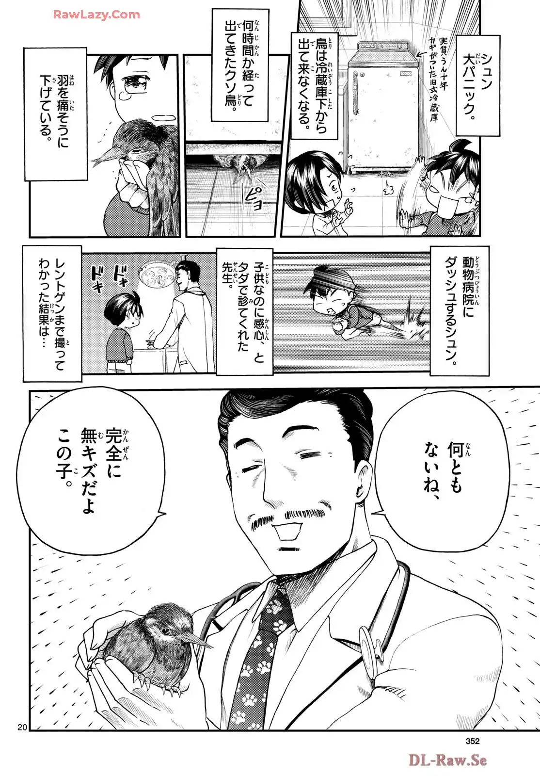 P20