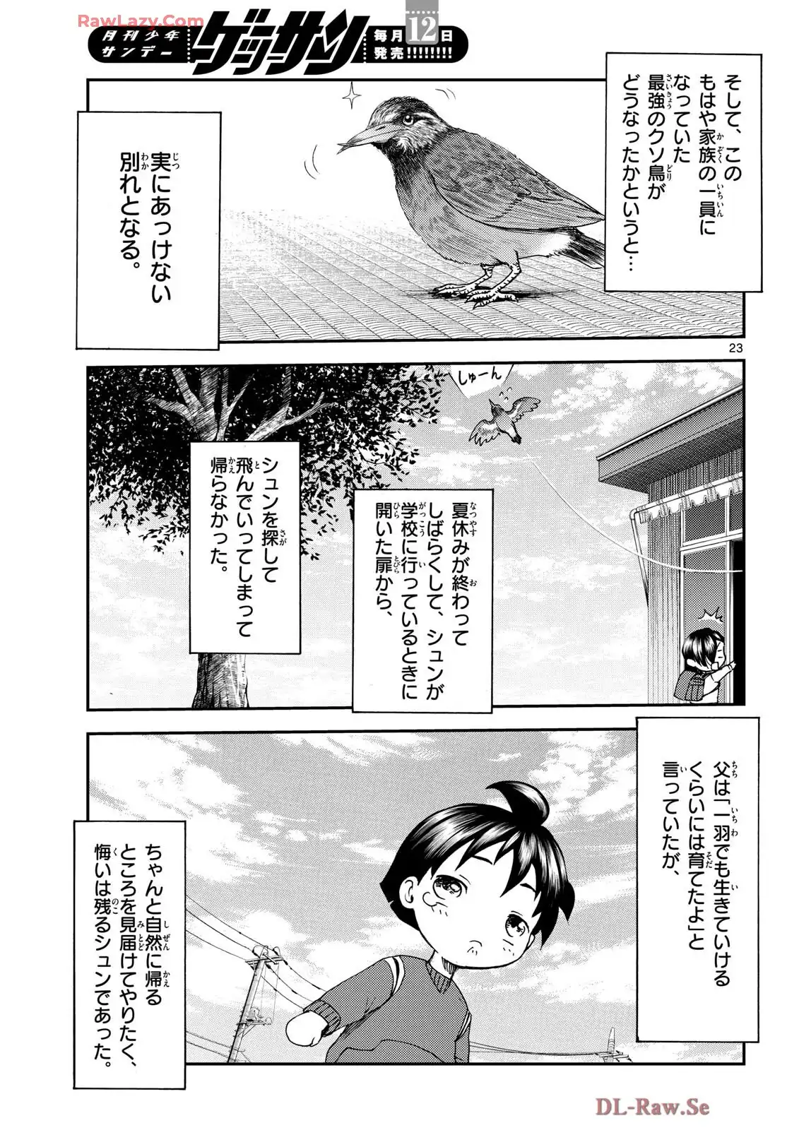 P23