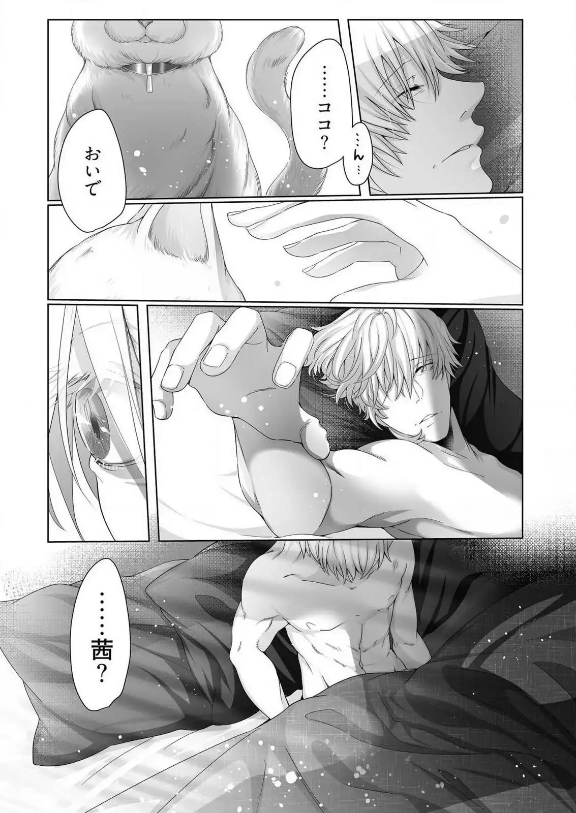 P26
