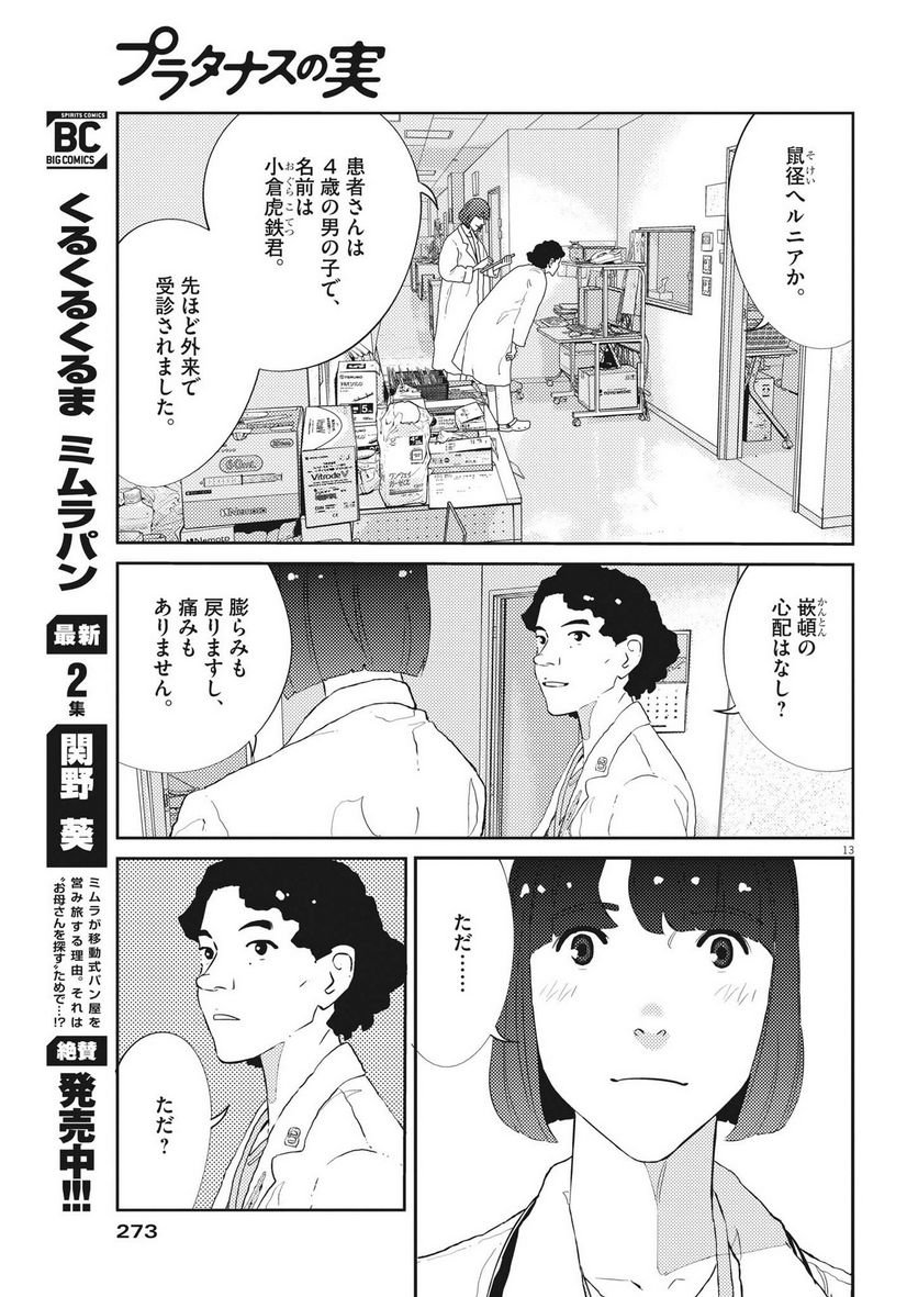 P13