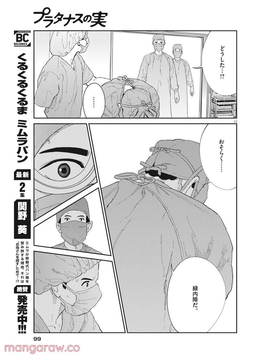 P13