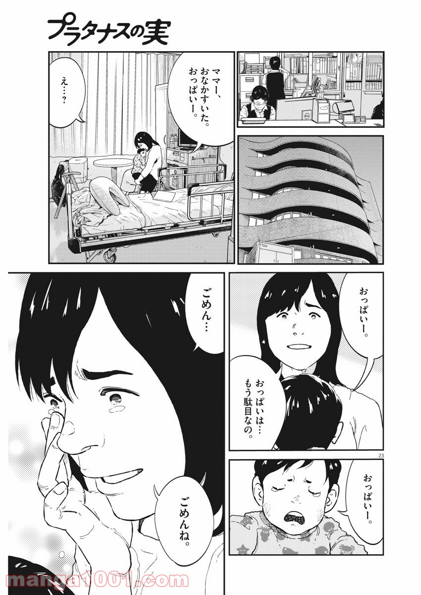 P23