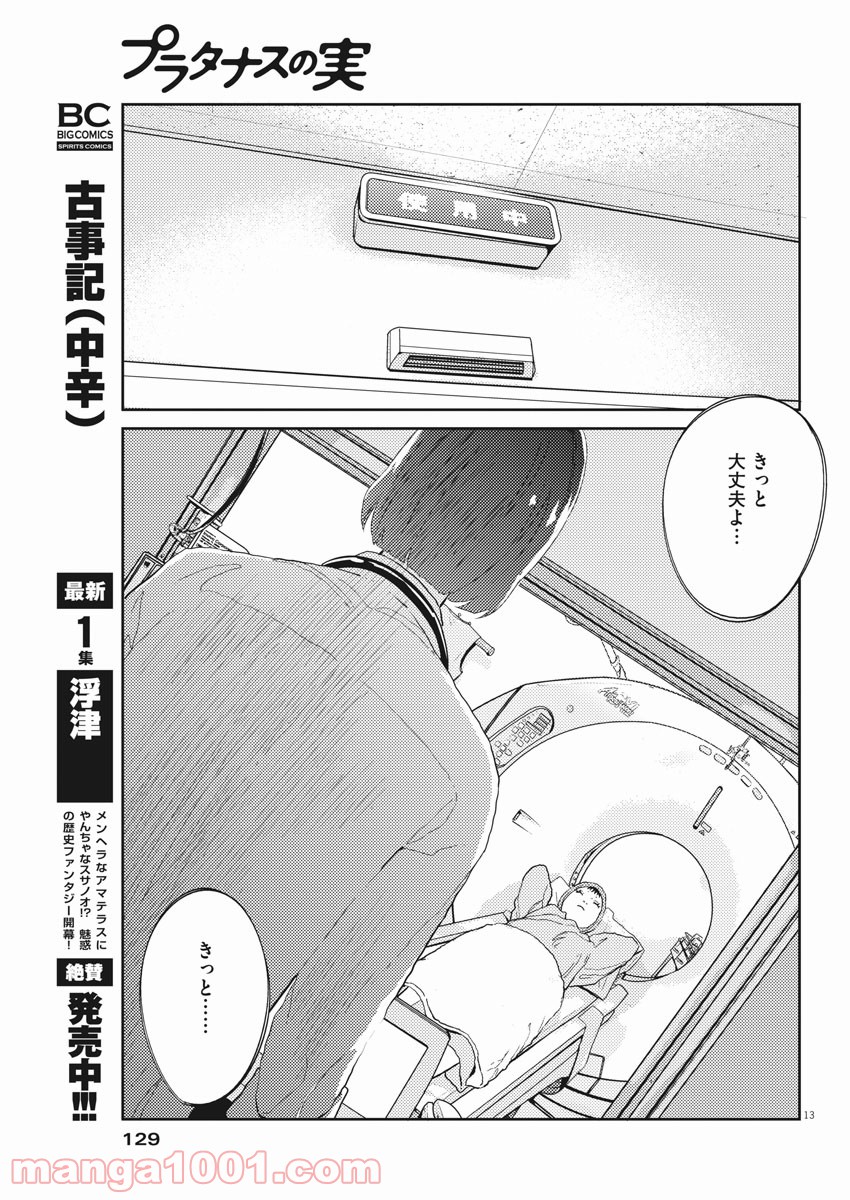 P13