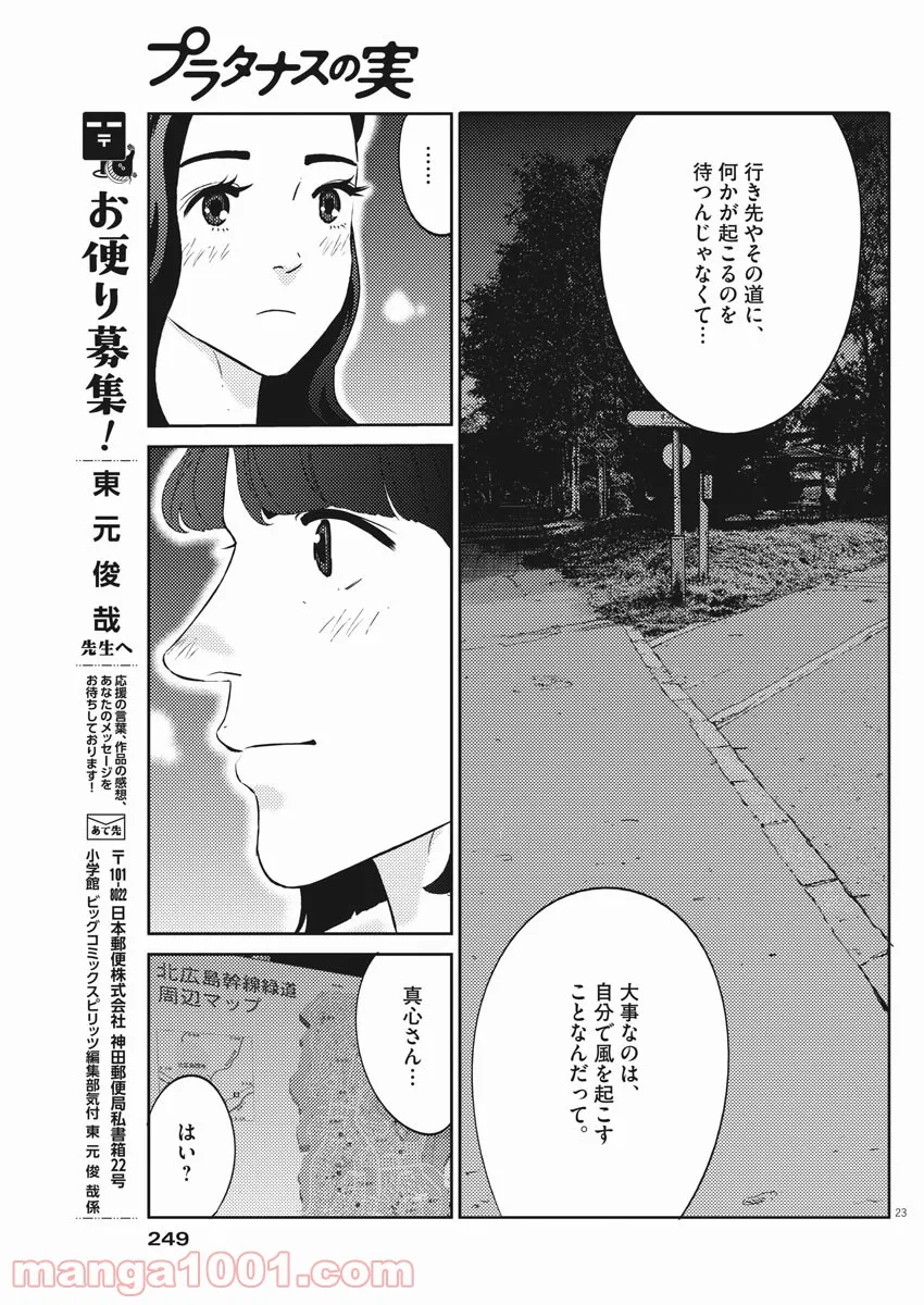 P23